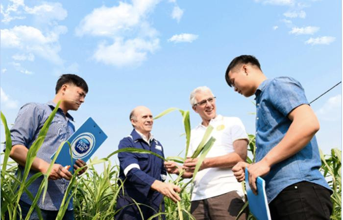 FrieslandCampina là tập đoàn tiên phong trong chương trình phát triển ngành sữa tại Việt Nam