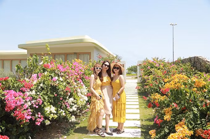 Check in con đường hoa ra biển tại FLC Quy Nhơn đang ược nhiều tín đồ sống ảo yêu thích Check in con đường hoa ra biển tại FLC Quy Nhơn đang ược nhiều tín đồ sống ảo yêu thích