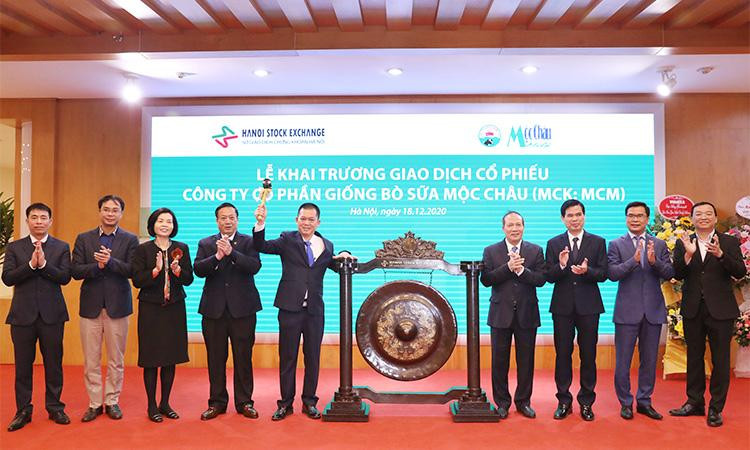 Tổng Giám đốc công ty Mộc Châu Milk thực hiện nghi thức đánh cồng, chính thức khai trương giao dịch cổ phiếu MCM trên sàn UPCOM Tổng Giám đốc công ty Mộc Châu Milk thực hiện nghi thức đánh cồng, chính thức khai trương giao dịch cổ phiếu MCM trên sàn UPCOM