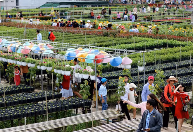 Du lịch Sa Đéc phát triển nhanh trong vài năm trở lại đây (Ảnh Internet)