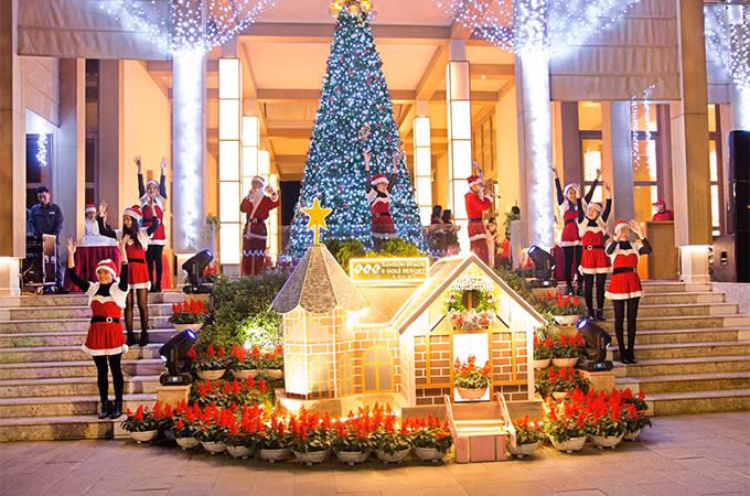 Khoảnh khắc cây thông Noel bừng sáng, khởi đầu chuỗi sự kiện mùa lễ hội.