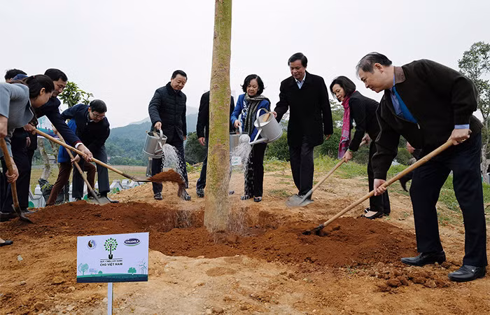Các vị lãnh đạo và đoàn viên thanh niên, học sinh của tỉnh Tuyên Quang cùng nhau trồng cây tại khu vực lán Hang Thia, Khu di tích lịch sử Tân Trào