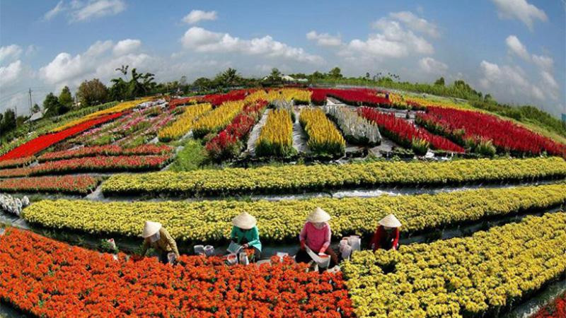 Du lịch Sa Đéc – không chỉ có làng hoa (ảnh Internet) Du lịch Sa Đéc – không chỉ có làng hoa (ảnh Internet)