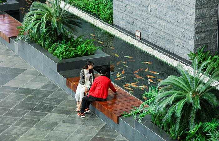 Sân bay Vân Đồn giành giải đặc biệt thế giới về kiến trúc ngoại thất