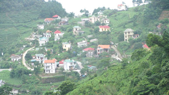 Cần một quyết định đúng để tránh "hoạ" về sau ảnh 1