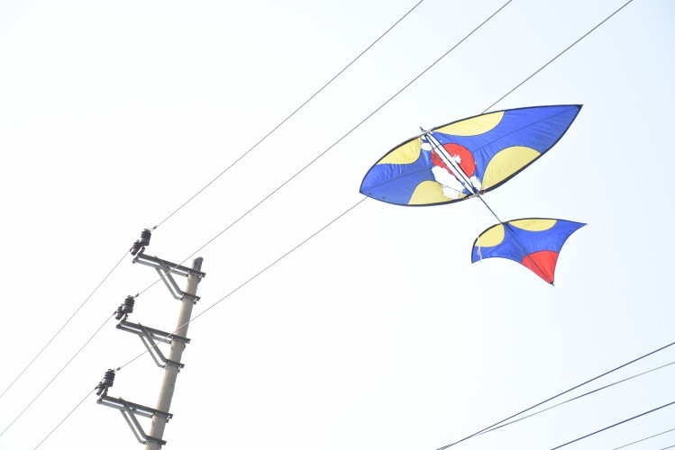 Những con diều ngày nay được cải tiến, kích thước có thể lên đến hàng mét