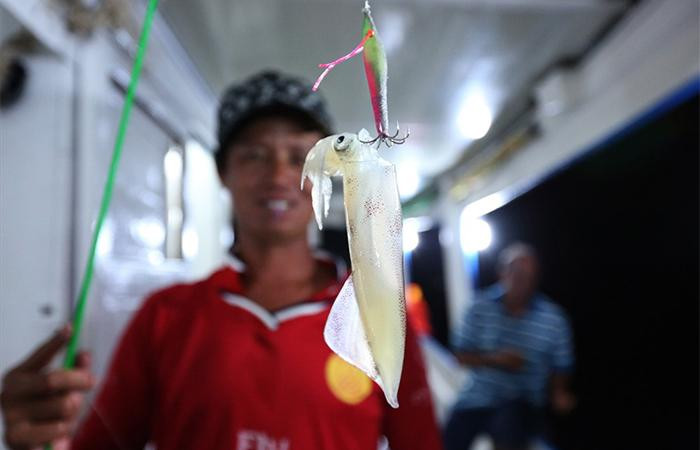 Câu mực đêm là trải nghiệm khó quên tại Phú Quốc