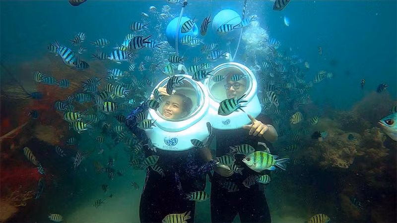 Du khách thích thú với trải nghiệm đi bộ dưới đáy biển tại Eco Beach, Hòn Thơm