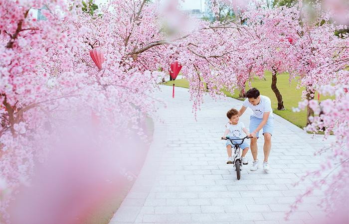 Công viên Nhật Bản – Zen Park chính là một trong những lý do quan trọng khiến người Nhật quyết định sinh sống tại Vinhomes Smart City.