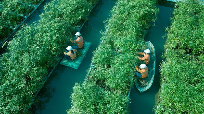 Bảo vệ môi trường là yếu tố then chốt để phát triển bền vững Bảo vệ môi trường là yếu tố then chốt để phát triển bền vững