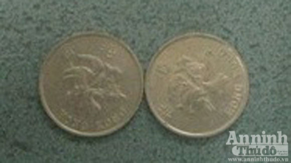 Nguyễn Thị Dậu cùng 2 đồng xu được xem là đồng tiền may mắn của dân làm ăn