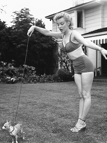 "Huyền thoại sắc đẹp" Marilyn Monroe rực rỡ bên thú cưng ảnh 3