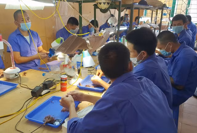 Cơ sở cai nghiện ma túy số 1 Hà Nội dạy nghề cho học viên