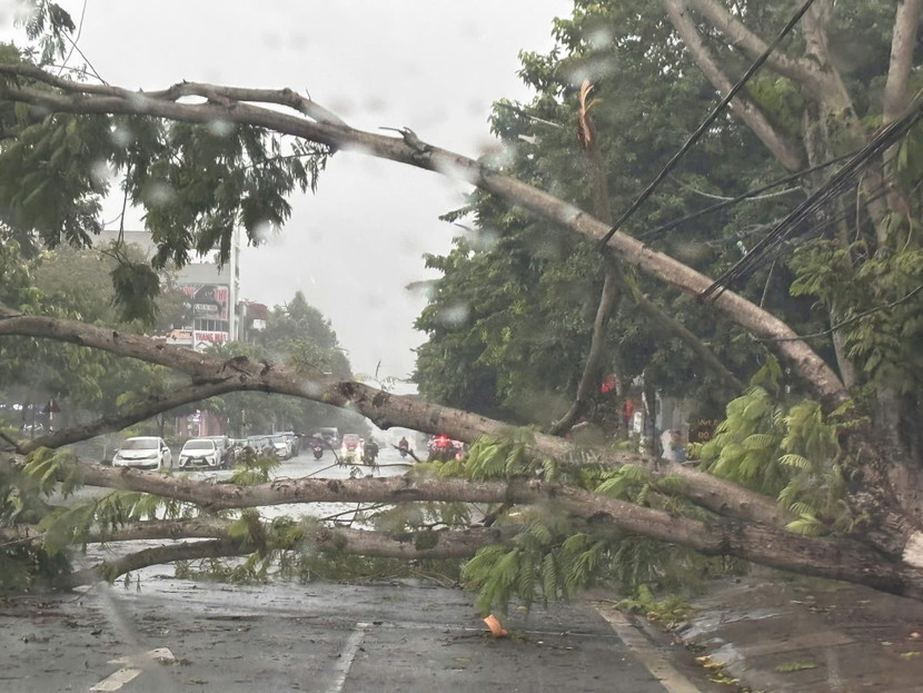 Mưa giông gây thiệt hại ở Lào Cai Mưa giông gây thiệt hại ở Lào Cai