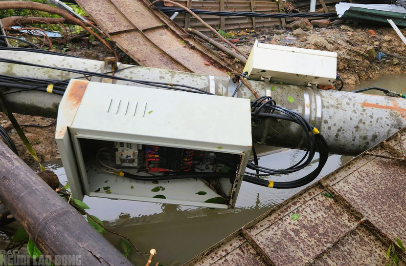 Cột điện đổ gãy la liệt tại các địa phương