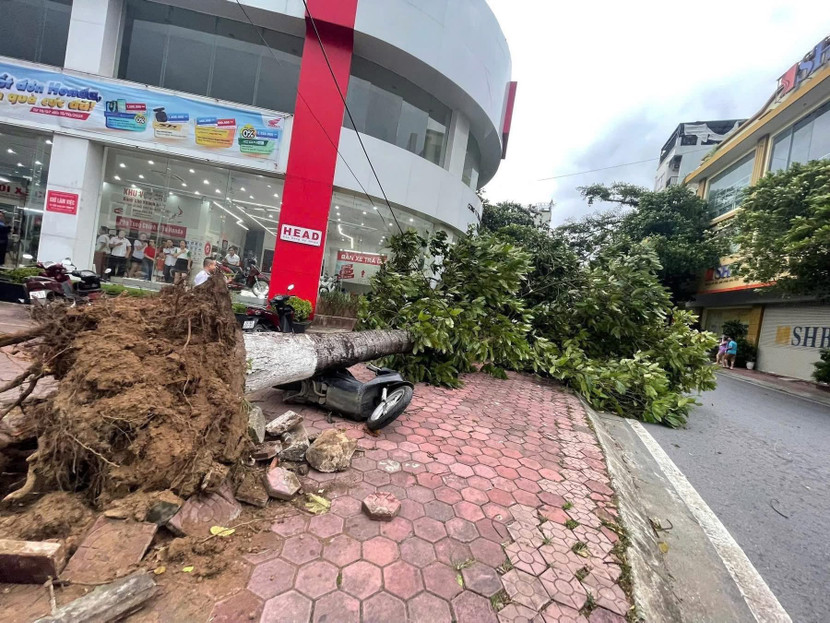 Nhiều xe ô tô bị xây đổ đè bẹp Nhiều xe ô tô bị xây đổ đè bẹp