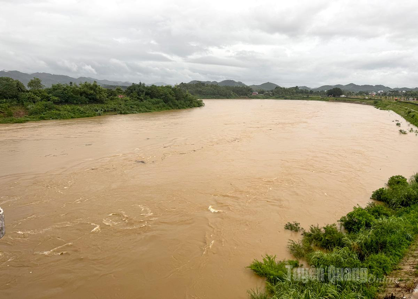 Mực nước sông Lô, sông Gâm - Tuyên Quang đang dâng cao báo động nguy hiểm Mực nước sông Lô, sông Gâm - Tuyên Quang đang dâng cao báo động nguy hiểm