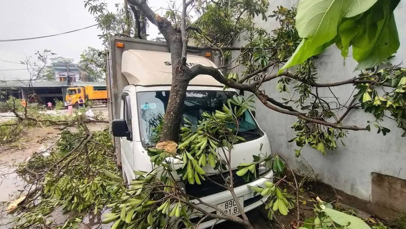 Mưa to kèm dông lốc khiến TP.Tuyên Quang và một số địa phương của tỉnh bị thiệt hại do cây đổ, ngập úng... Mưa to kèm dông lốc khiến TP.Tuyên Quang và một số địa phương của tỉnh bị thiệt hại do cây đổ, ngập úng...