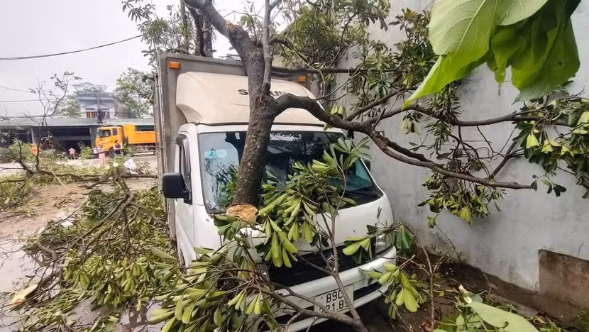 Mưa to kèm dông lốc khiến TP.Tuyên Quang và một số địa phương của tỉnh bị thiệt hại do cây đổ, ngập úng...