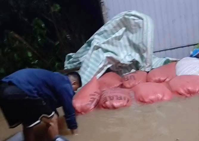 Nhiều hộ dân mới thu hoạch lúa về chưa kịp khô đã bị ngập trong nước do mưa lớn Nhiều hộ dân mới thu hoạch lúa về chưa kịp khô đã bị ngập trong nước do mưa lớn