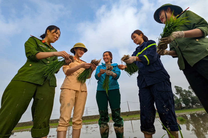 Câu chuyện rôm rả về ngày mùa trên cánh đồng quê hương