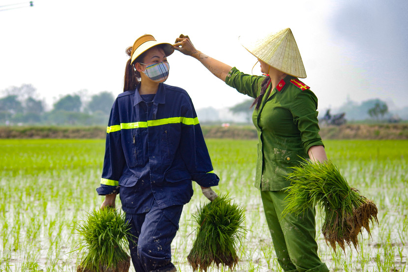 Hình ảnh bình dị của các nữ công an Thủ đô trên cánh đồng đầu xuân
