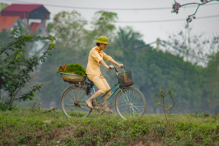 Nữ cảnh sát giao thông, Công an huyện Ứng Hòa làm nhiệm vụ chở mạ ra thửa ruộng cần cấy