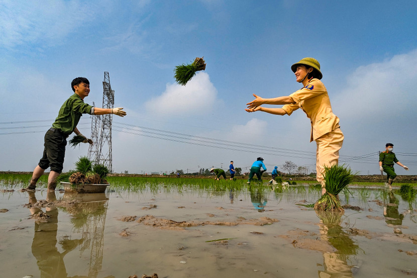 Trời về trưa càng nắng to nhưng không khí lao động của các cán bộ, chiến sỹ Công an huyện Ứng Hòa vẫn luôn sôi nổi