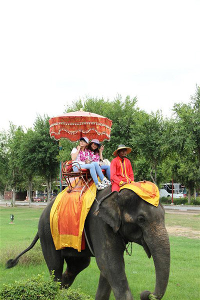 Miss Teen Việt Nam đọ sắc với Miss Teen Thái Lan ảnh 9