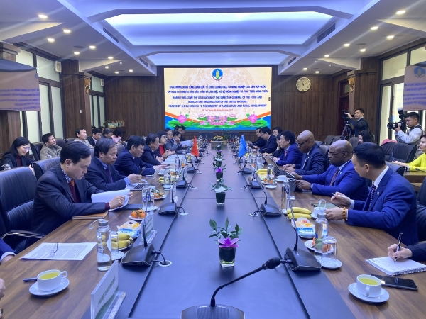 Toàn cảnh buổi Hội đàm giữa Bộ Nông nghiệp và PTNT và đoàn công tác của FAO Toàn cảnh buổi Hội đàm giữa Bộ Nông nghiệp và PTNT và đoàn công tác của FAO