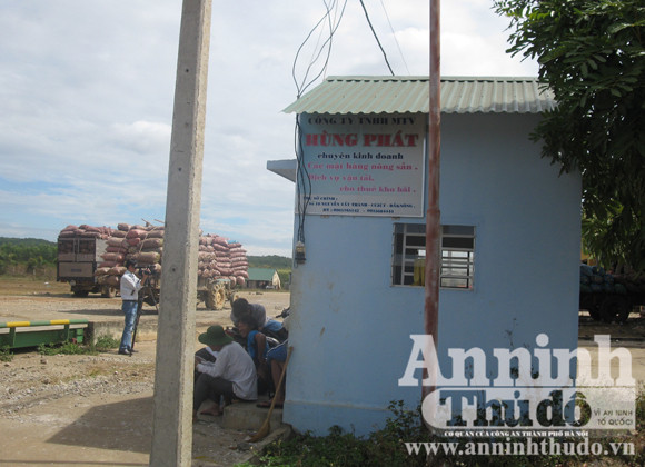 Chợ thành điểm thu gom sắn