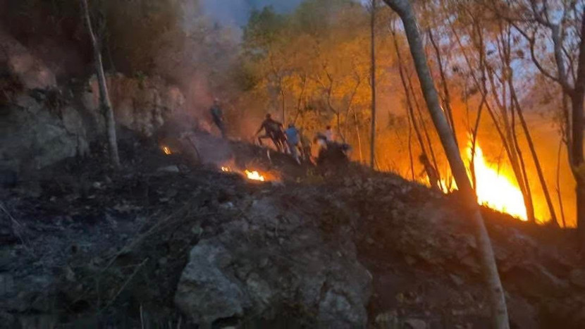 Ngọn lửa nhanh chóng lan rộng