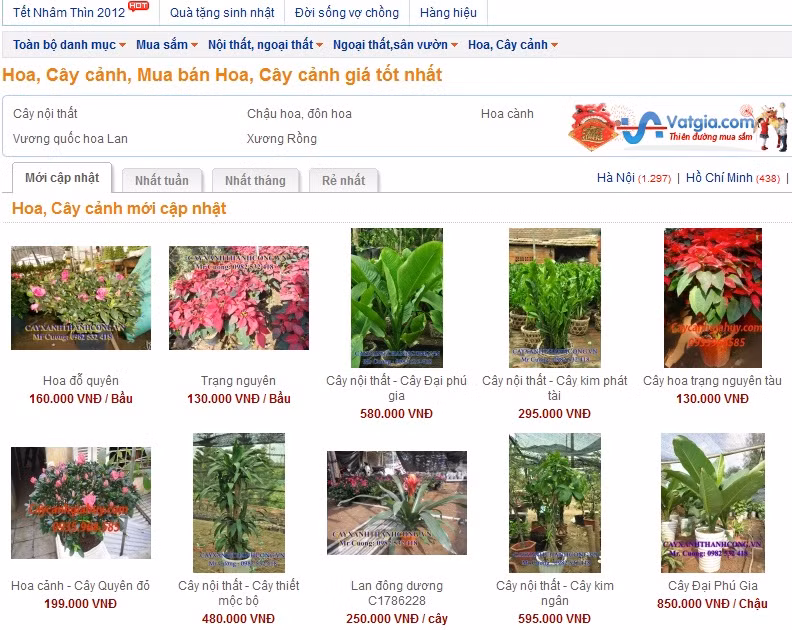 Muôn nẻo chọn cây chơi Tết ảnh 8