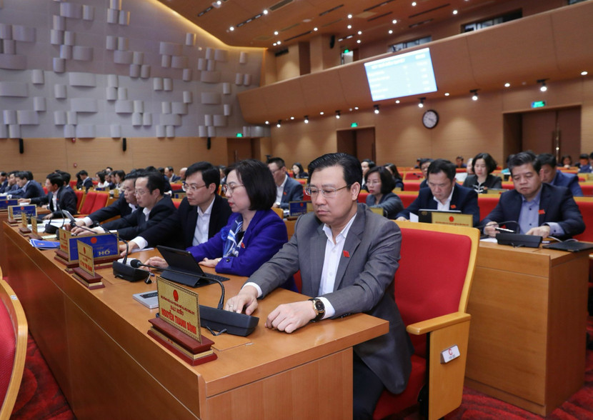 Các đại biểu biểu quyết