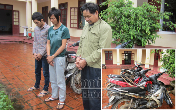 Trùm "cẩu tặc” xứ Nghệ sa lưới ảnh 1