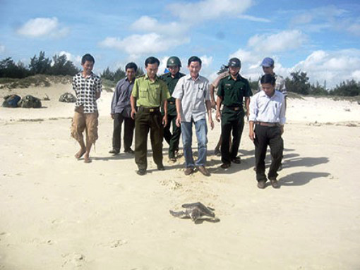 Thả vích quý hiếm về đại dương ảnh 1 Thả vích quý hiếm về đại dương ảnh 1