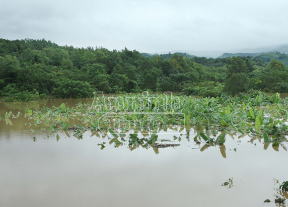 Bão số 8 oanh tạc, 3.000 ngôi nhà chìm, 2 tàu cá mất tích, 2 người tử vong ảnh 2