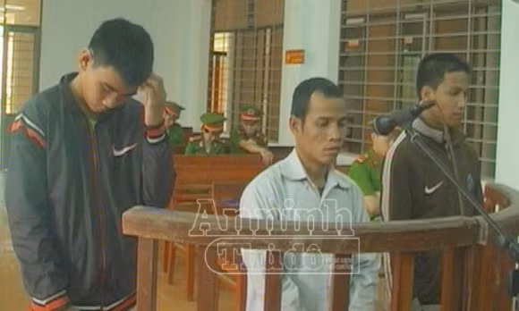  32 tháng tù cho nhóm lâm tặc phá rừng ảnh 1