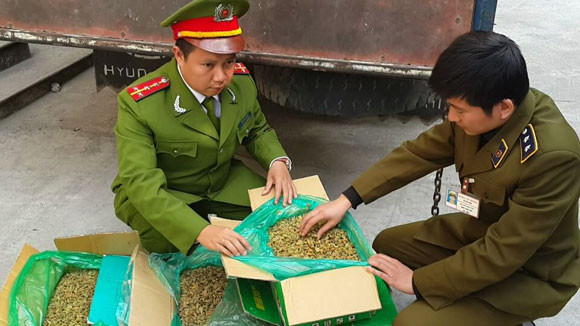 Phát hiện hơn 2 tấn nho sấy khô "bẩn" ảnh 2