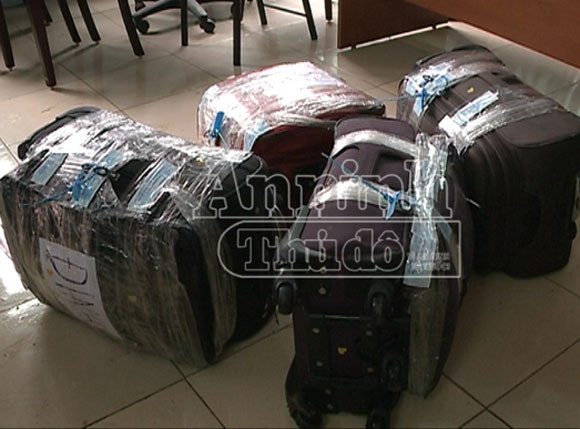 Bắt giữ 200kg ngà voi từ Singapore đến sân bay quốc tế Nội Bài ảnh 1