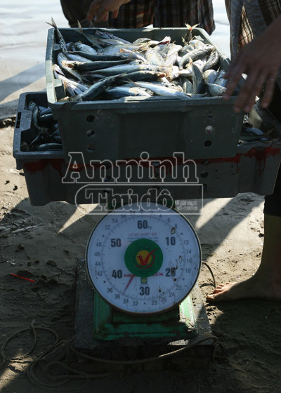 Sóng gió mưu sinh của những người bám biển ảnh 5