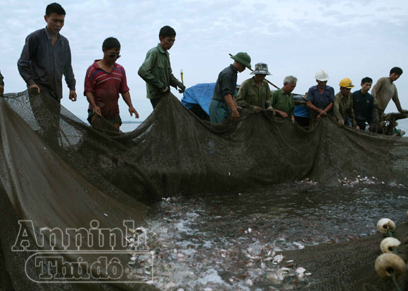 Sóng gió mưu sinh của những người bám biển ảnh 2