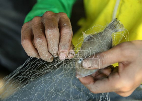 Sóng gió mưu sinh của những người bám biển ảnh 10