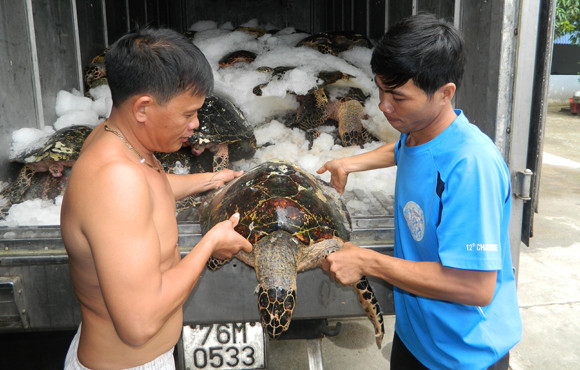Săn trộm rùa biển, 14 ngư dân mất tích ảnh 1