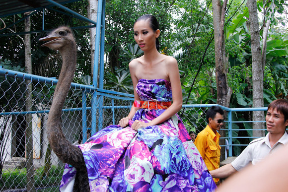 Bị gọi là "thảm họa thời trang", Kim Thoa chia tay Next top ảnh 5