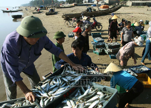 Sóng gió mưu sinh của những người bám biển ảnh 6