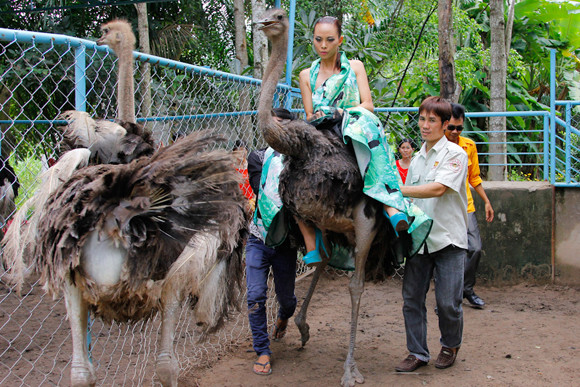 Bị gọi là "thảm họa thời trang", Kim Thoa chia tay Next top ảnh 7