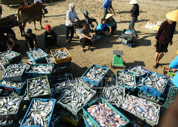 Sóng gió mưu sinh của những người bám biển ảnh 4