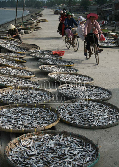 Sóng gió mưu sinh của những người bám biển ảnh 11