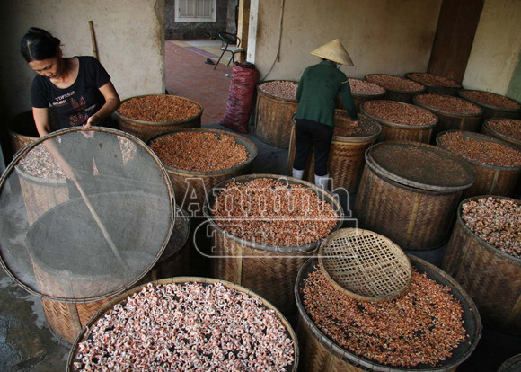 Sóng gió mưu sinh của những người bám biển ảnh 13